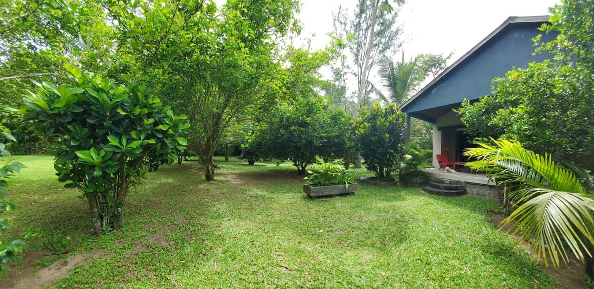 Bed and Breakfast Les Citronniers Ile Sainte-Marie Экстерьер фото